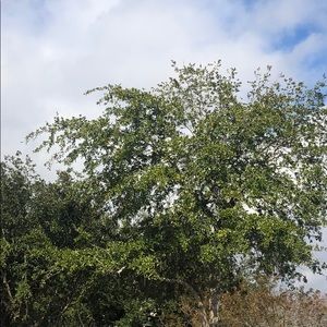 Meet your Posher, Dake